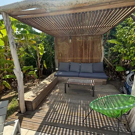 Francois 알가졸라