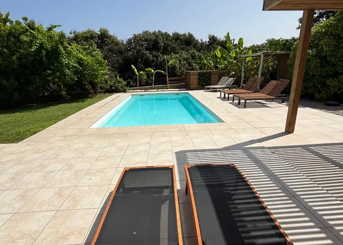 Francois 阿尔加约拉